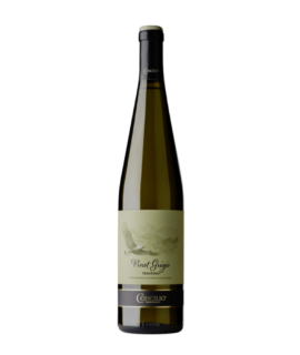 Concilio Pinot Grigio Trentino